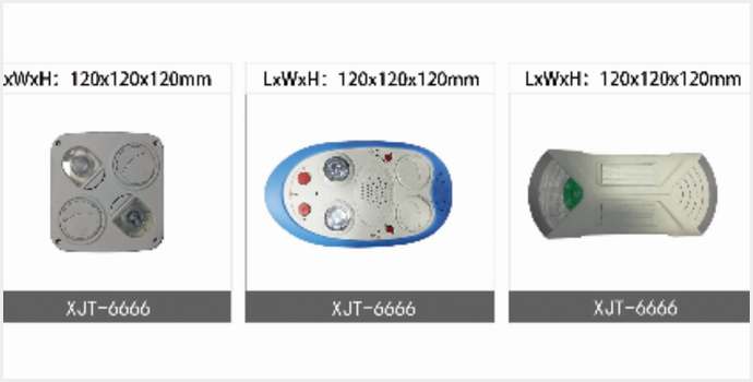 厦门企业家欣杰泰来明进行考察交流